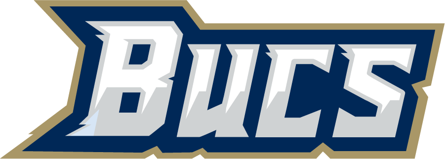 CSU Buccaneers 2019-Pres Wordmark Logo diy iron on heat transfer